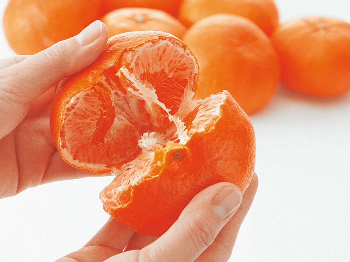 000000000495-01.jpg?size=xl&w=