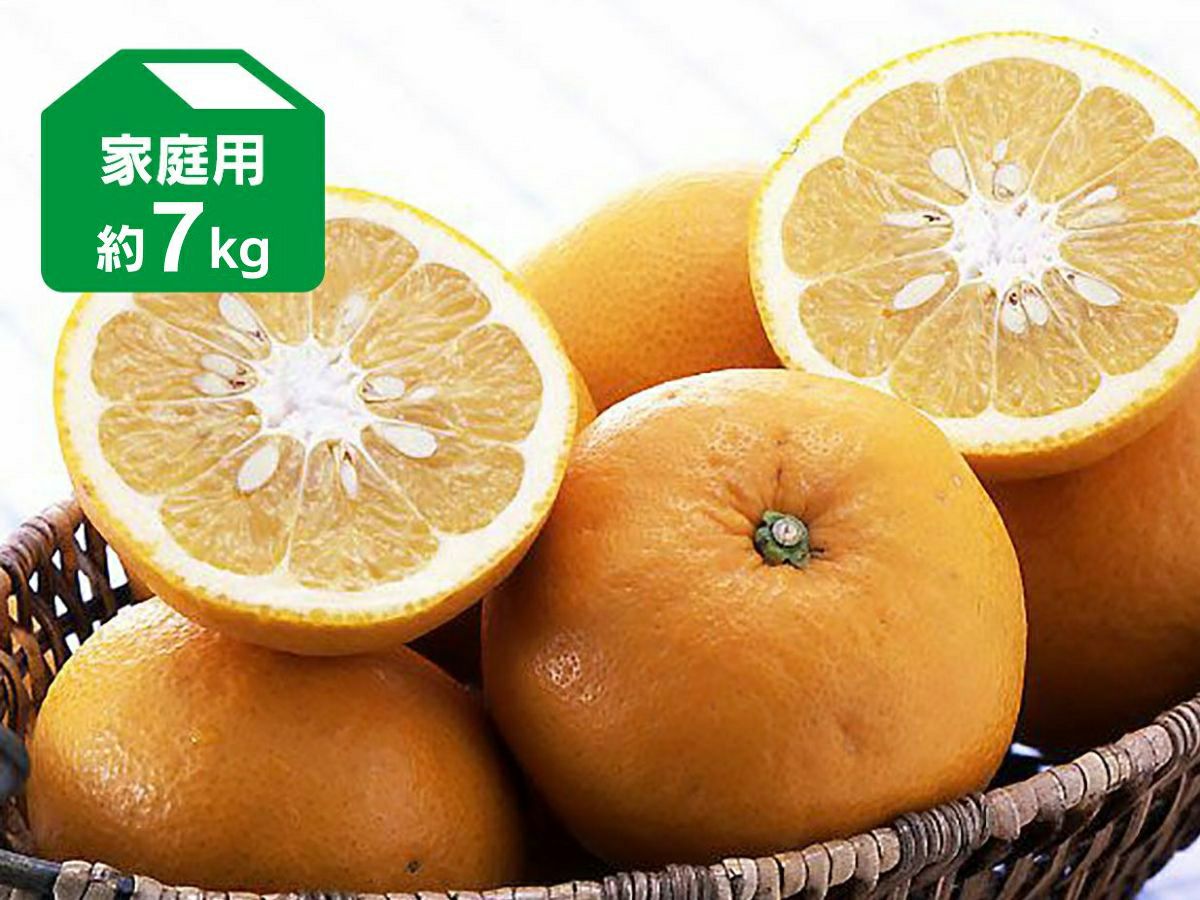 八朔(はっさく)約7kg-家庭用 | のま果樹園
