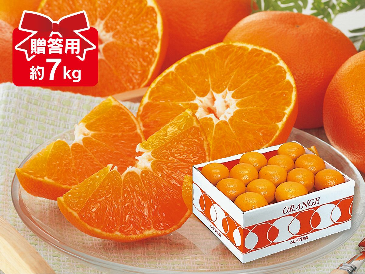 愛媛みかん9kg-小粒っ子 | のま果樹園