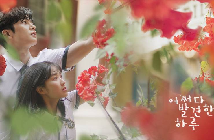 SF9 ロウン主演】韓国ドラマ『偶然見つけたハル』のあらすじや見どころ