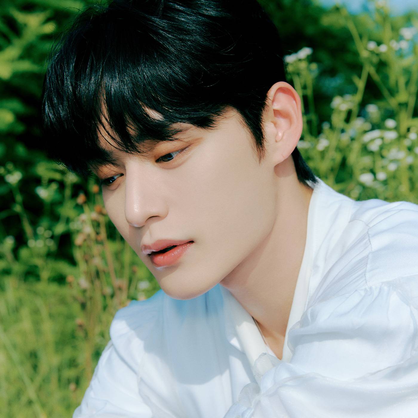 ZB1 キム・ジウン】ZB1キム・ジウンの経歴や魅力を紹介！ – 韓国情報