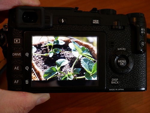 FUJIFILM X-E1』レビュー！レトロな操作感が楽しいオールドレンズ専用