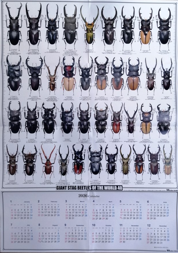むし社2026年度版カレンダー（BE・KUWA）