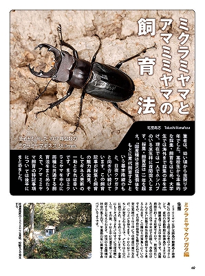 ビークワ47号（BE・KUWA） 日本のミヤマクワガタ大特集