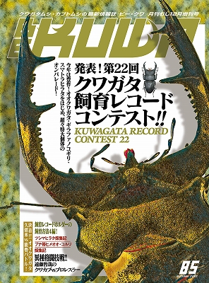 ビークワ85号（BE・KUWA） <span class=