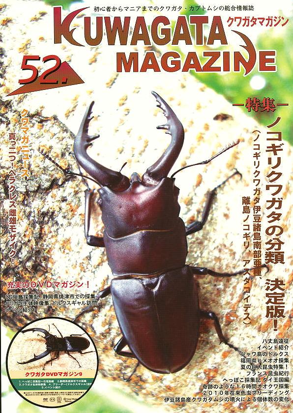 くわがたマガジン52号 ノコギリクワガタの分類 決定版！