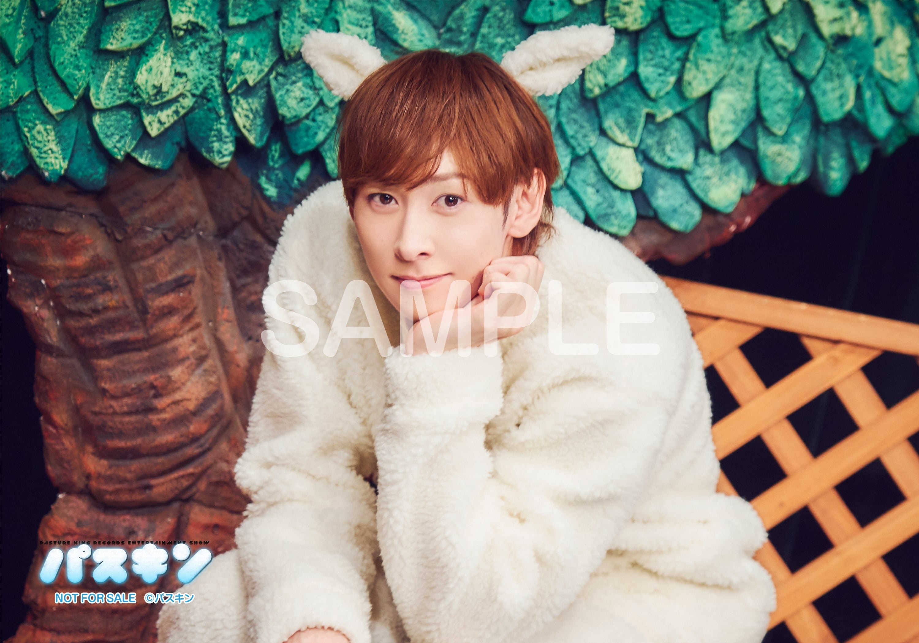 パスキン」 Blu-ray 下巻: 映像キンクリ堂