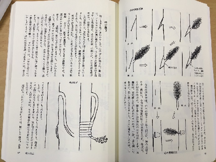 待望の復刻！「五葉松盆栽の作り方」（書籍） | 小林産業株式会社