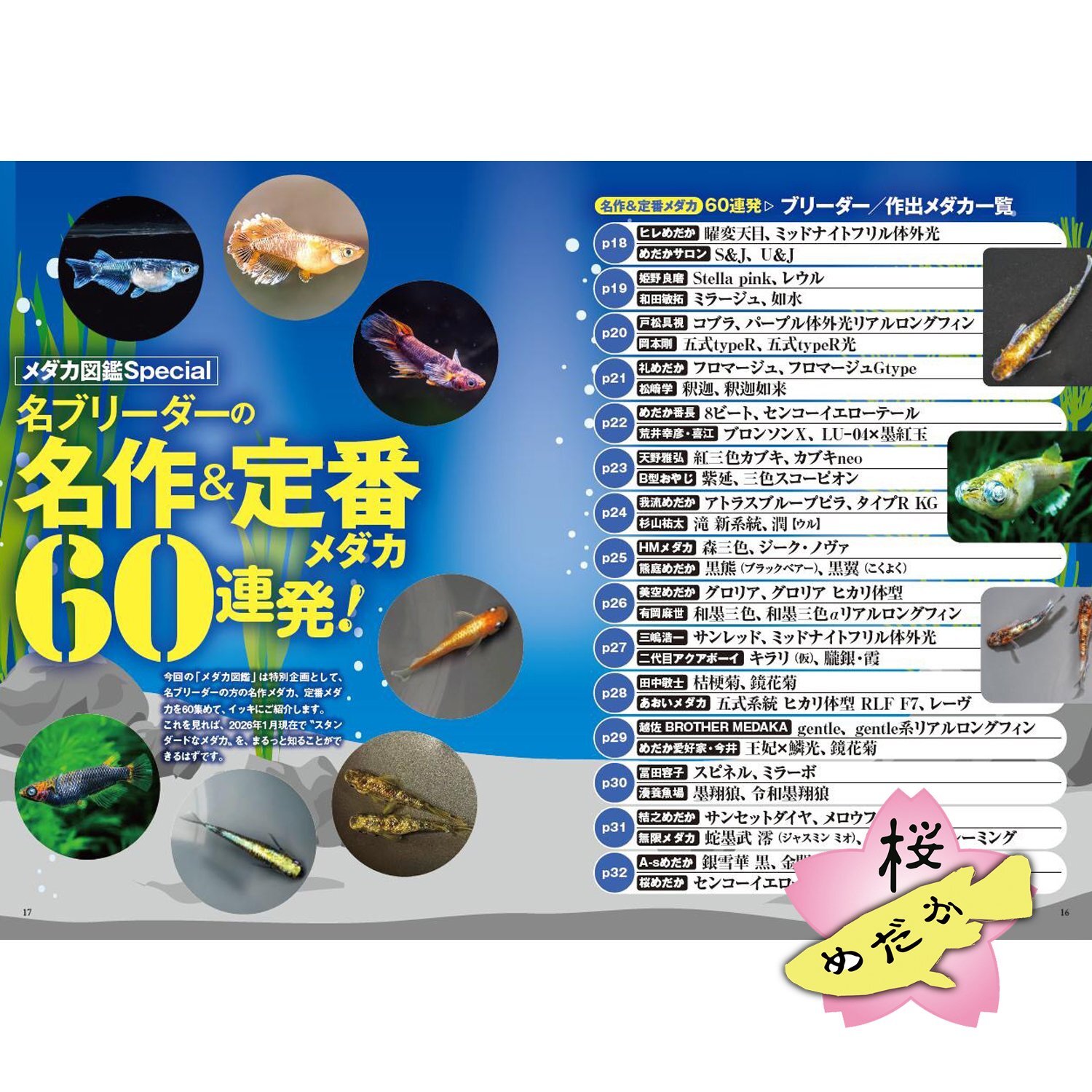 メダカFriend vol.3（ブティック社）