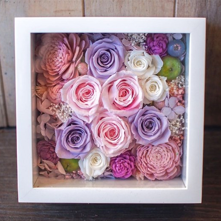 20,001円~群5,000円以内・商品一覧 | 胡蝶蘭東京銀座 -胡蝶蘭販売専門