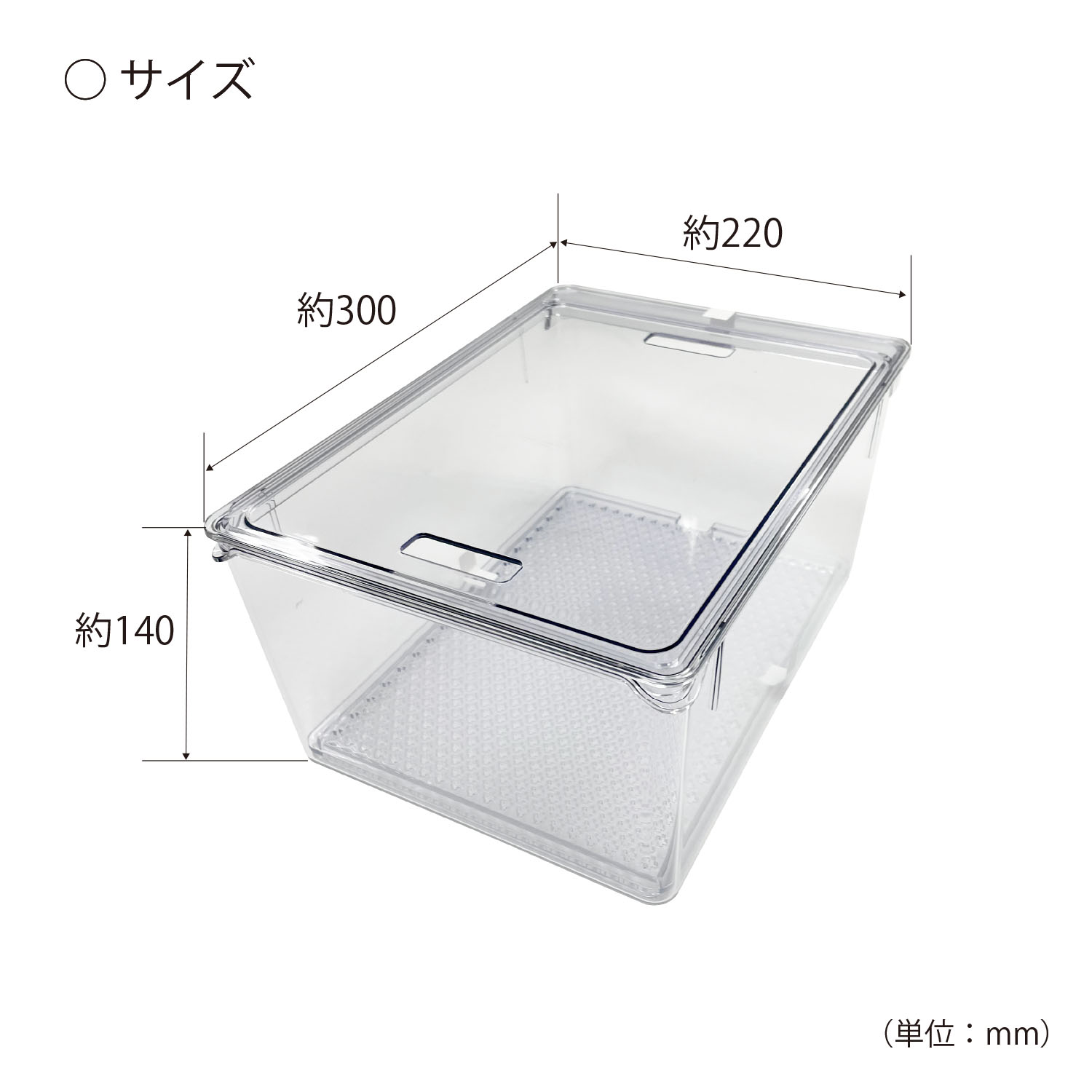 すのこ付き透明野菜保存容器 L | 商品情報 | KOKUBO 小久保工業所