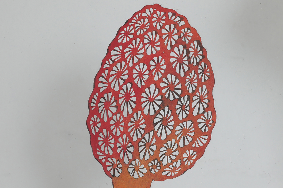 きのこ切り絵標本アソート | 竹村東代子| Toyoko Takemura| アートを