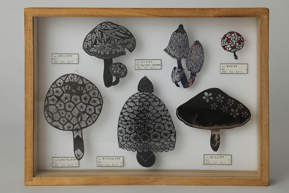 きのこ切り絵標本アソート | 竹村東代子| Toyoko Takemura| アートを