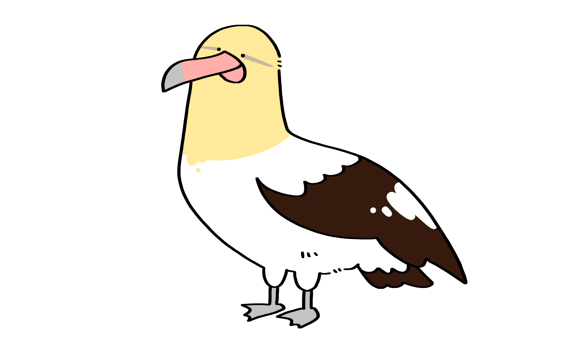 本当はスゴいアホウドリ】アホなんて付けられちゃったけど、実はカッコ