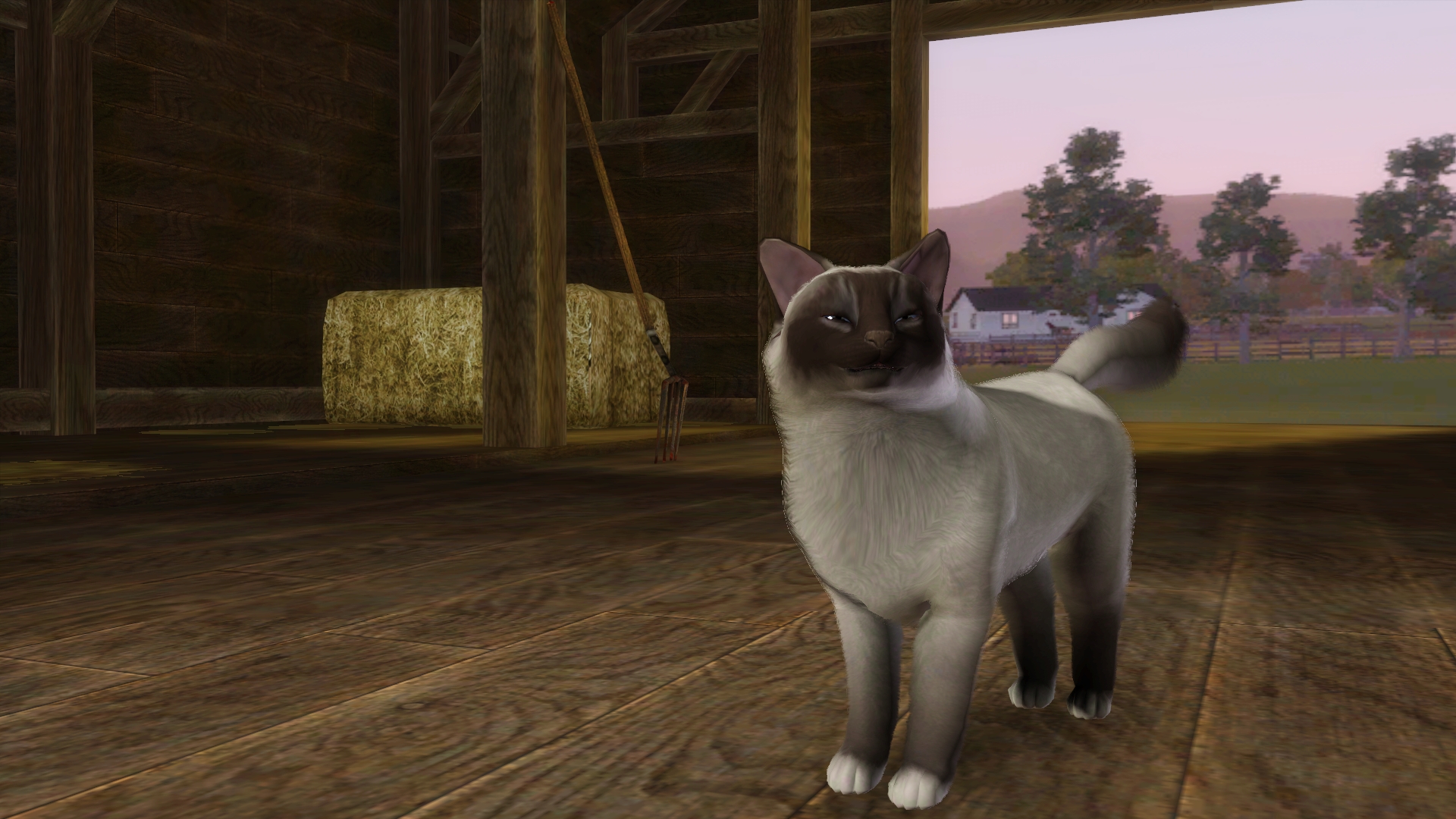 ペット(猫の種類): The Sims 3(ザ・シムズ3) 拡張・追加パック