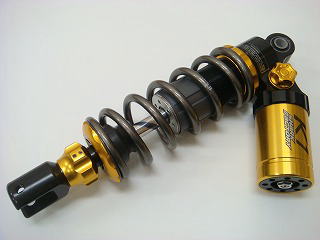 マルチ杯 全国大会 SHARK FACTORY オープンクラス優勝