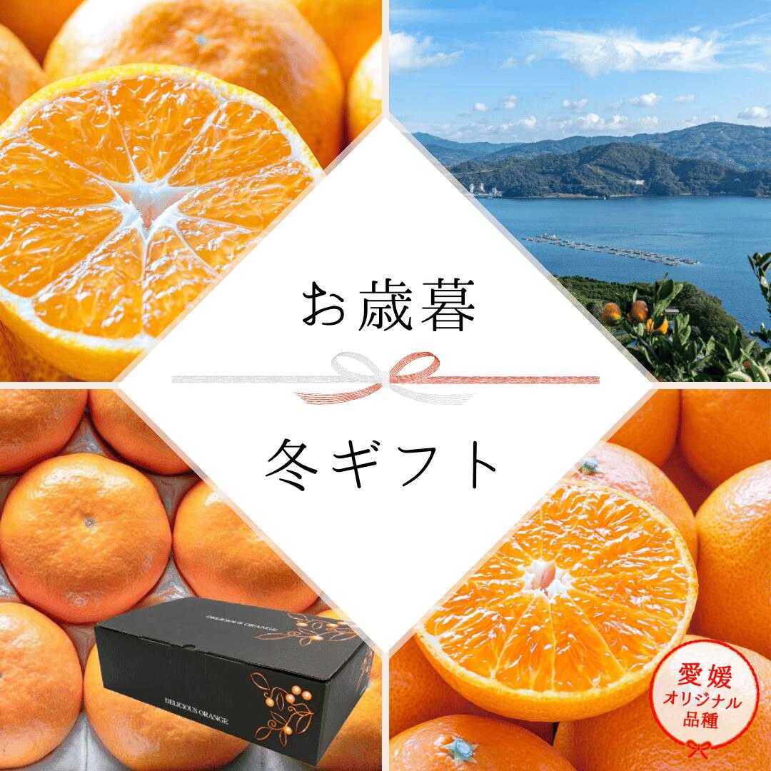 柑橘王国・愛媛県西宇和地方より産地直送！お試しみかんのご予約受付中