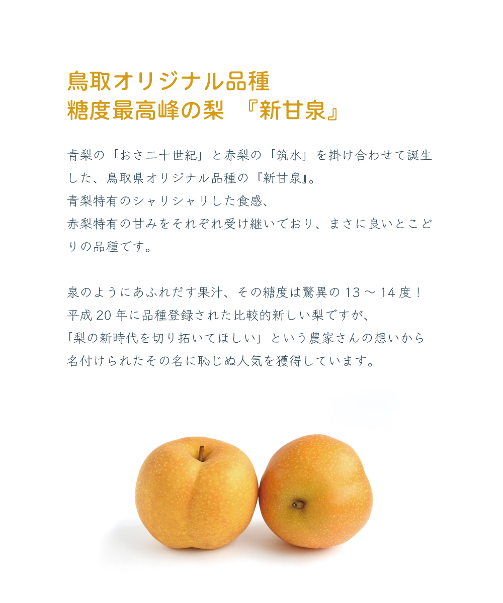 ☆甘い果汁が泉のようにあふれる！ご予約受付開始☆【送料無料