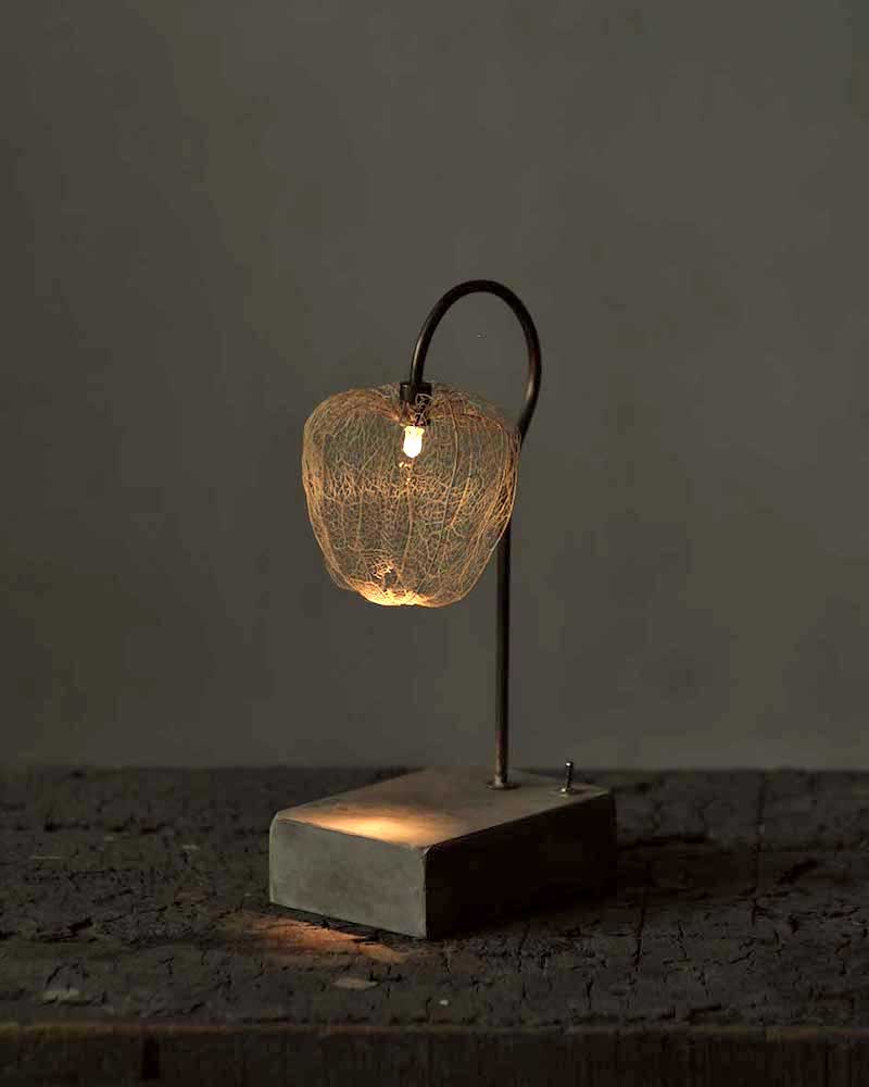 森の小さな灯 | 暮らしとおしゃれの編集室