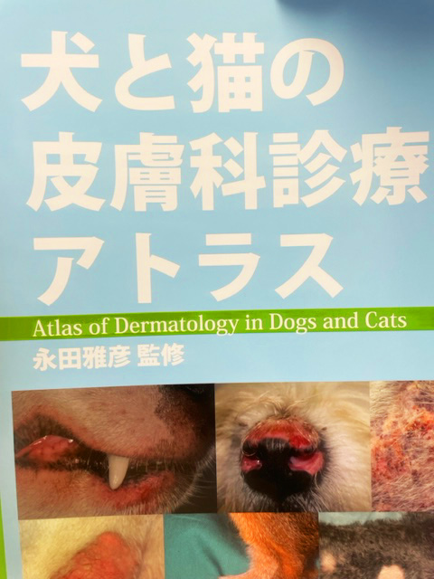 ゆう動物病院｜京都市の皮膚科認定医 アトピー・難治の皮膚病対応
