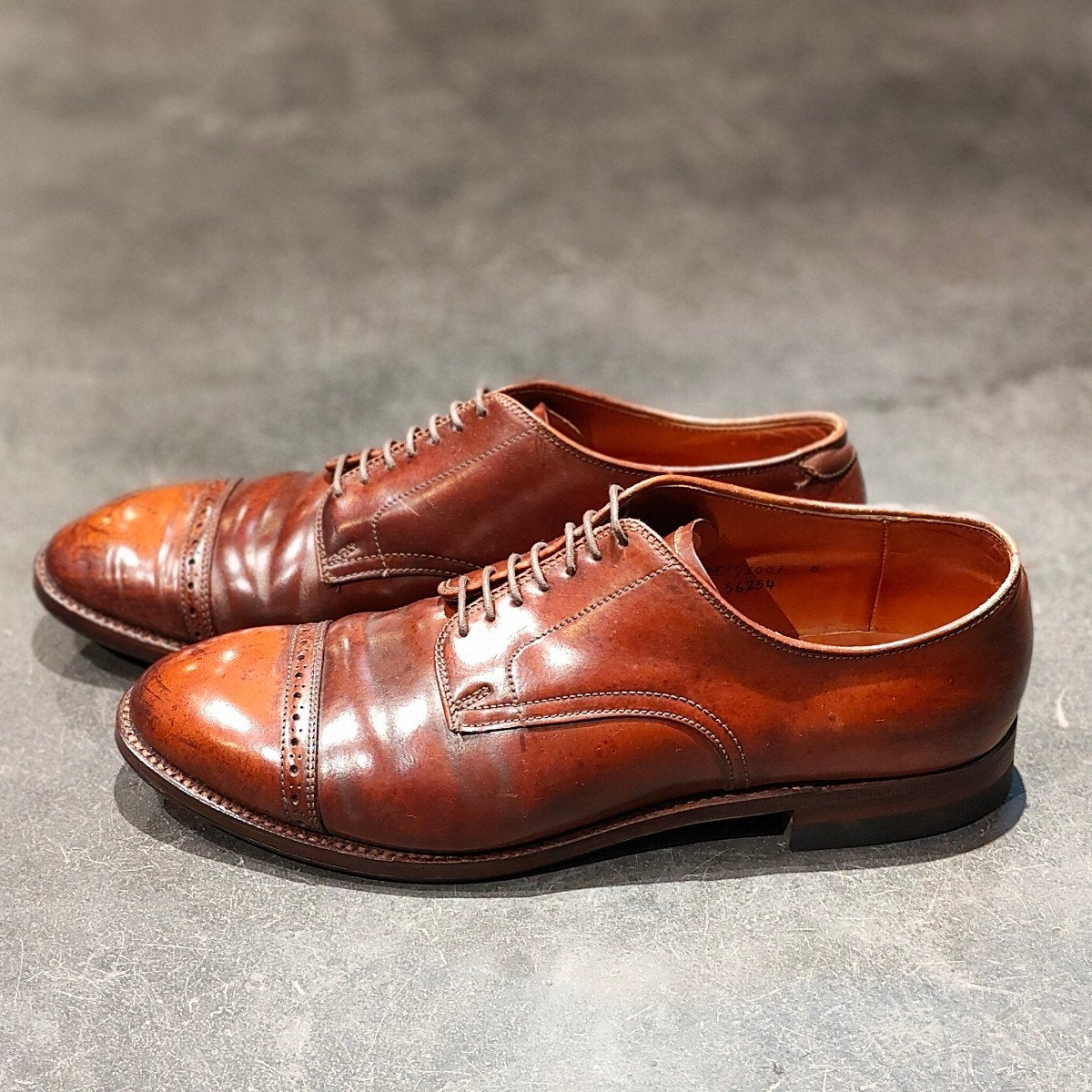 希少 【ALDEN】オールデン アナトミカ別注 56254 パンチドキャップトゥ