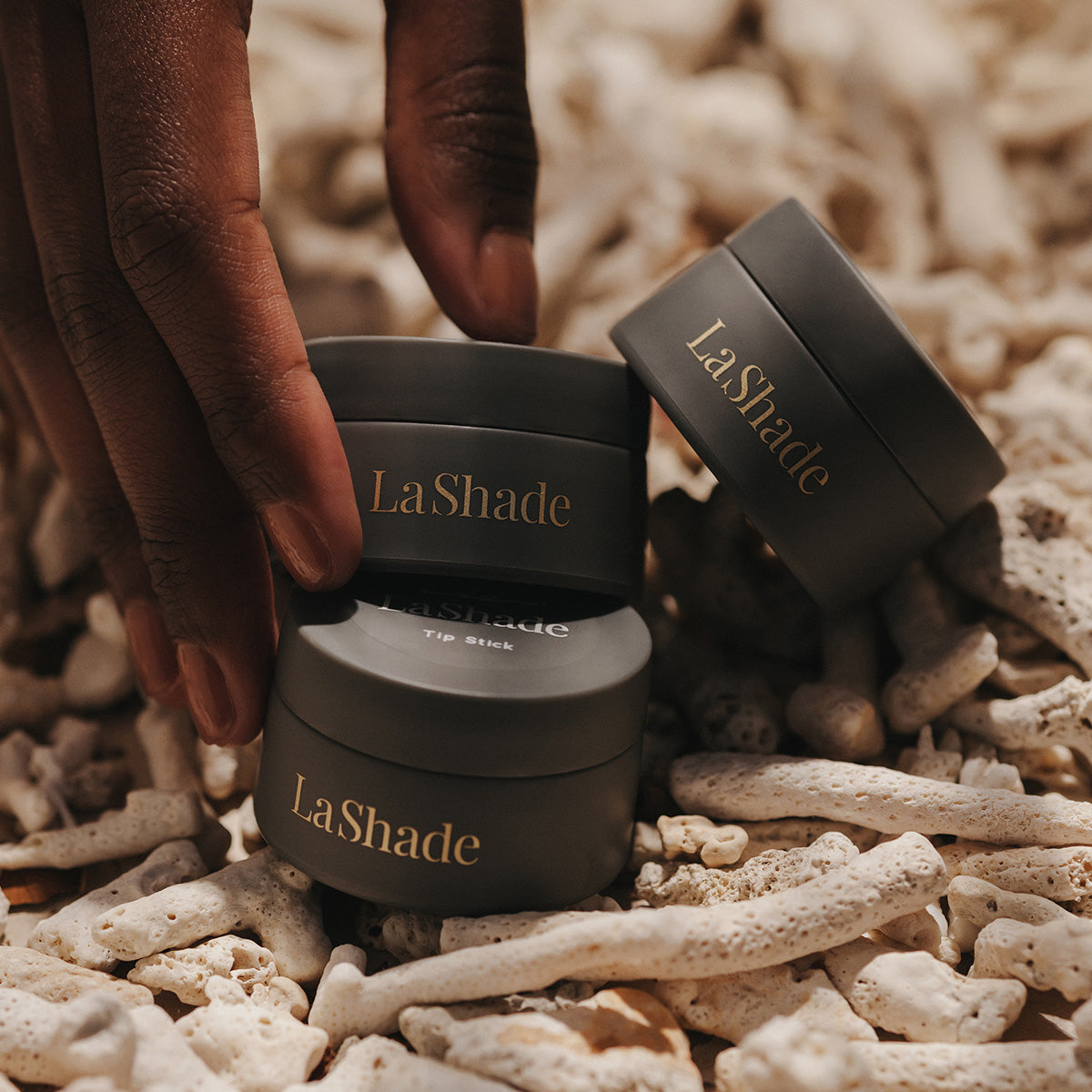 Renewal】LaShade STARTER KIT