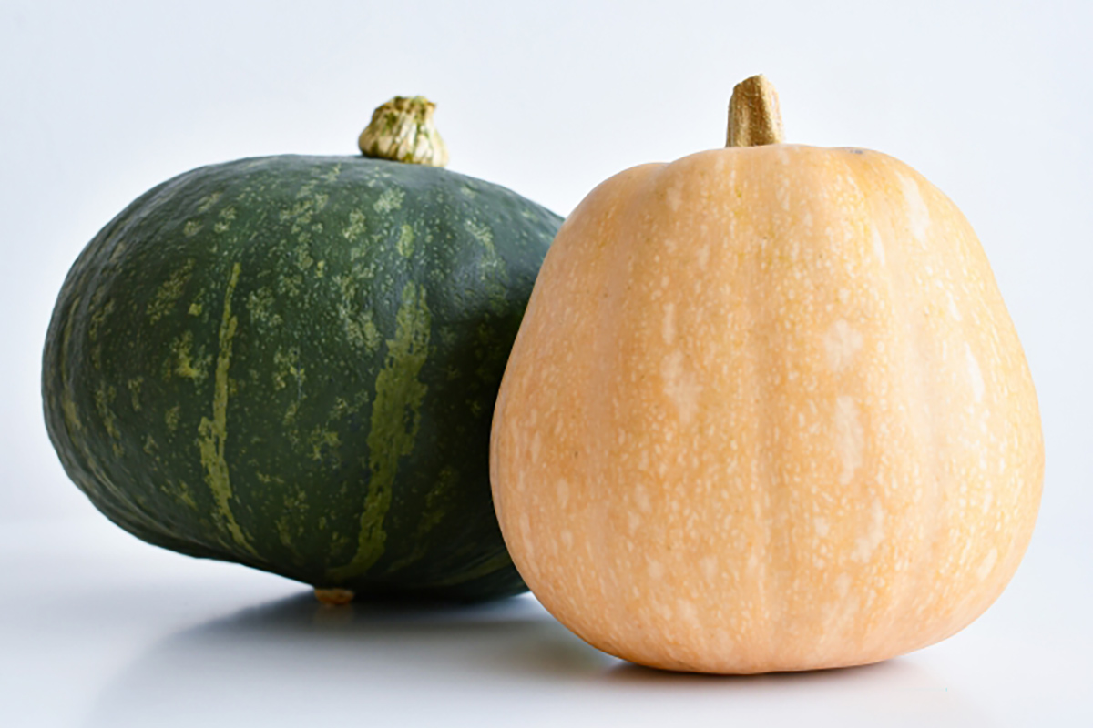 かぼちゃの