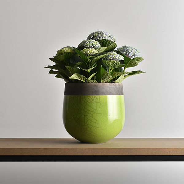 DOMANI（ドマーニ） ミンスクTMBHシリーズ