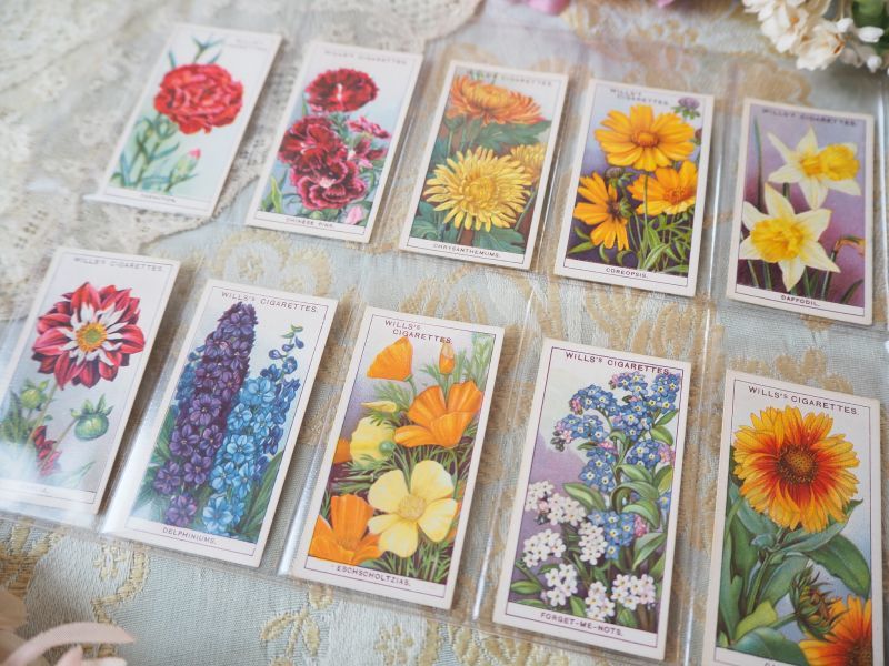 シガレットカード/花シリーズ/10枚セット carte・カード