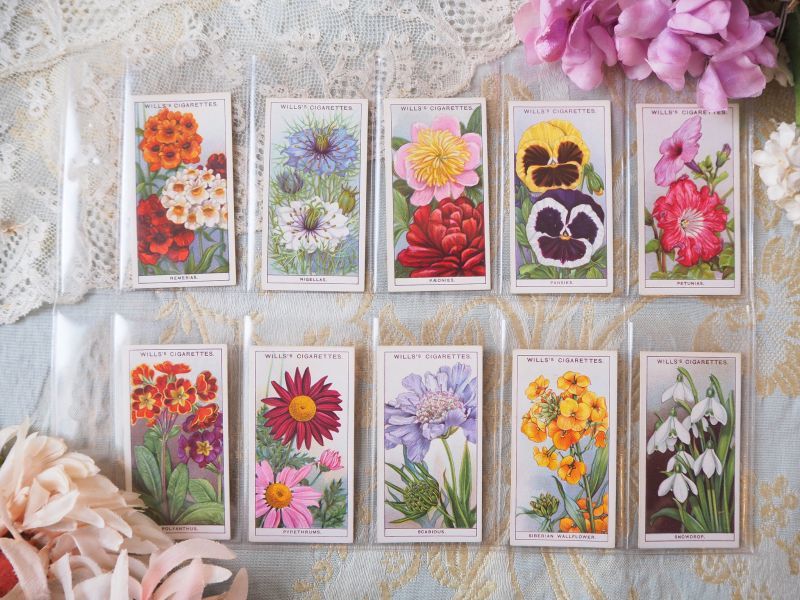 シガレットカード/花シリーズ/10枚セット/31~40 carte・カード