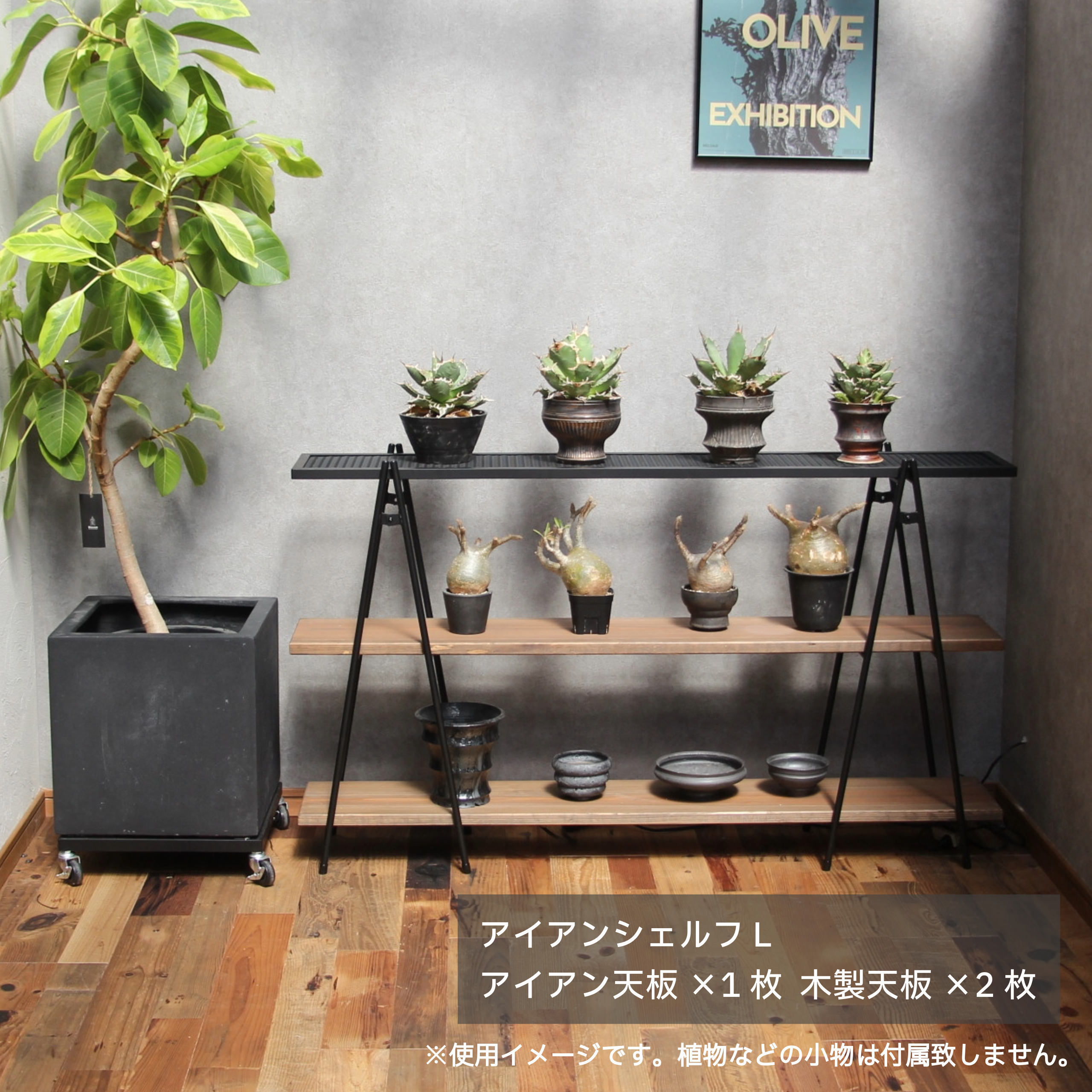 アイアンシェルフ