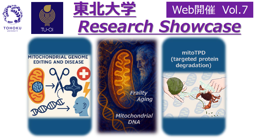 東北大学Research Showcase vol.7：ミトコンドリア機能を特異的に制御