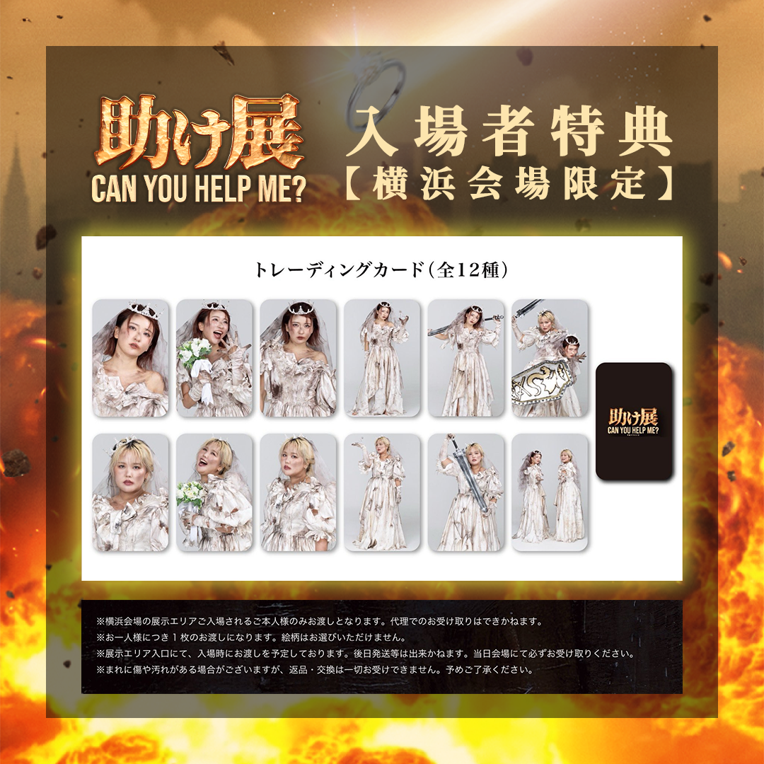 平成フラミンゴ | 助け展 can you help me？