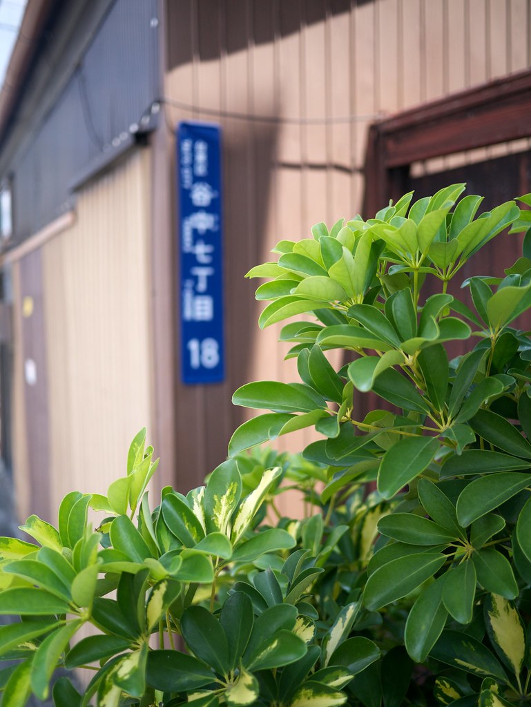 P1040944 | Tadashi Matsushita | Flickr
