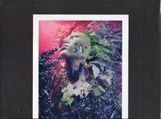 REPSYCLE～hide 60th Anniversary Special Box～ / hide : [world end.]