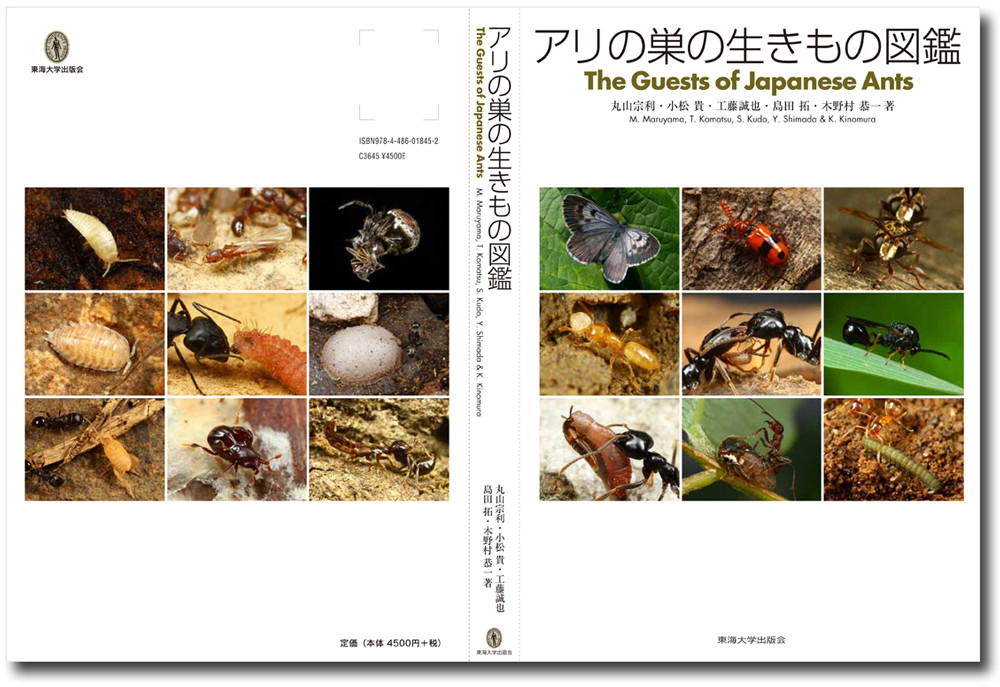 アリの巣の生きもの図鑑』 : ありんこ日記 AntRoom