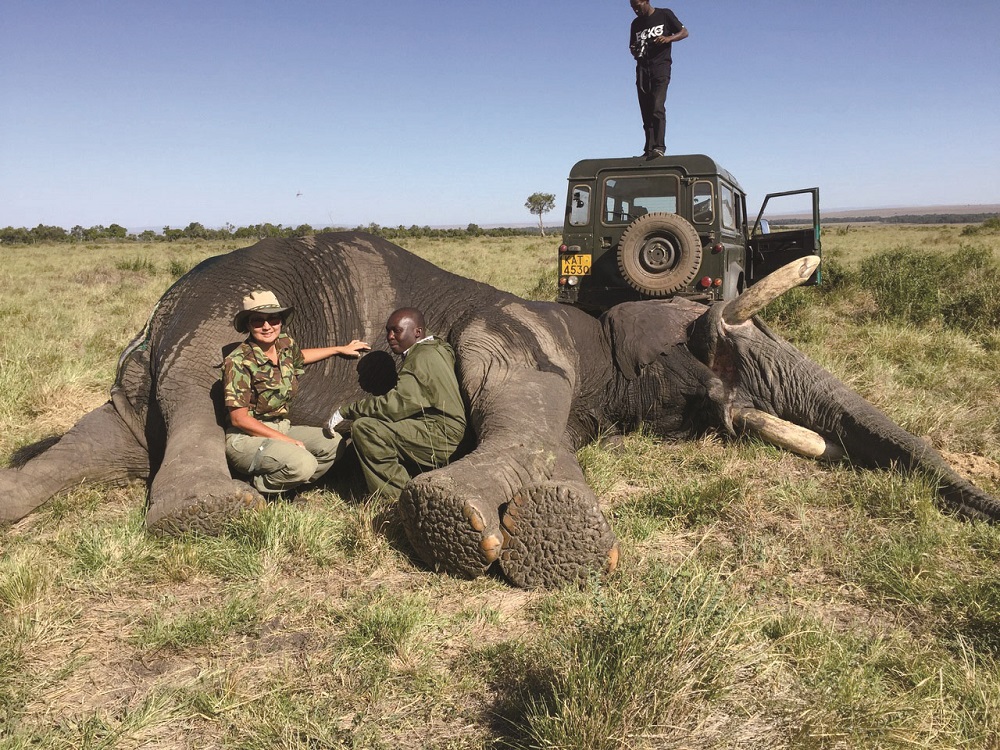 念願18年！ 日本人初の野生動物獣医に認められるも、椎間板損傷…野生