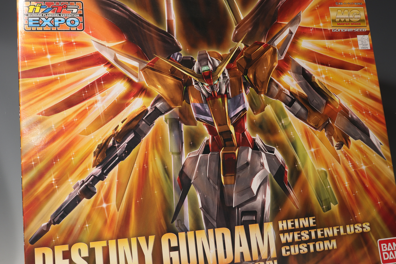 ガンプラEXPO限定 MG ハイネ専用 デスティニーガンダム : デンデロの消失