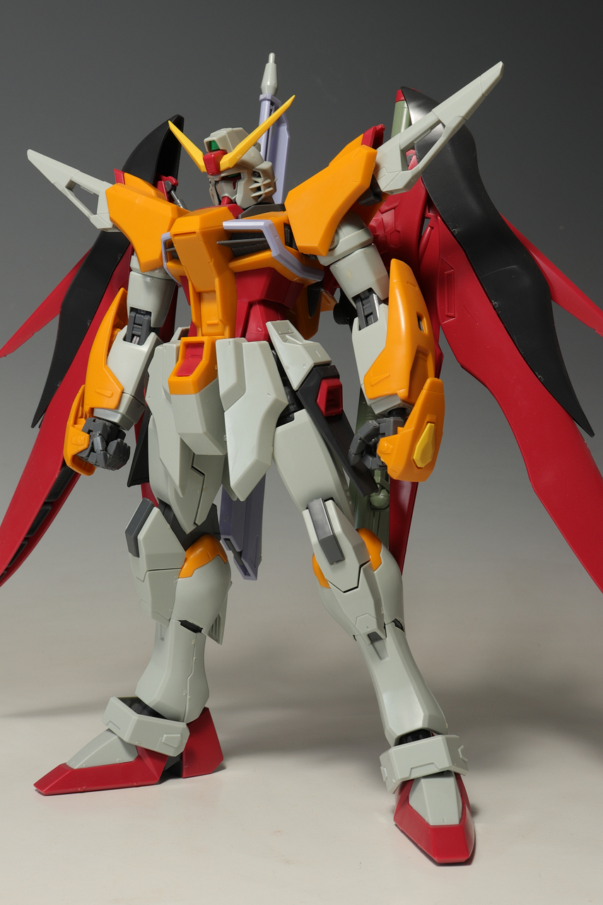 ガンプラEXPO限定 MG ハイネ専用 デスティニーガンダム : デンデロの消失