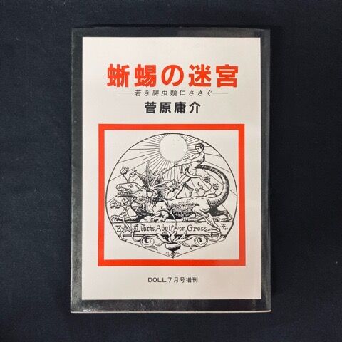 80年代日本のパンク/ニューウェーヴ＞ミニコミ/書籍/パンフ 大放出