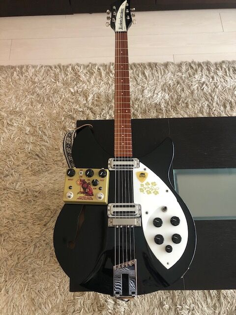 Sun Lion Fuzz Booster Pedal（ANALOG.MAN） : 四人冗語