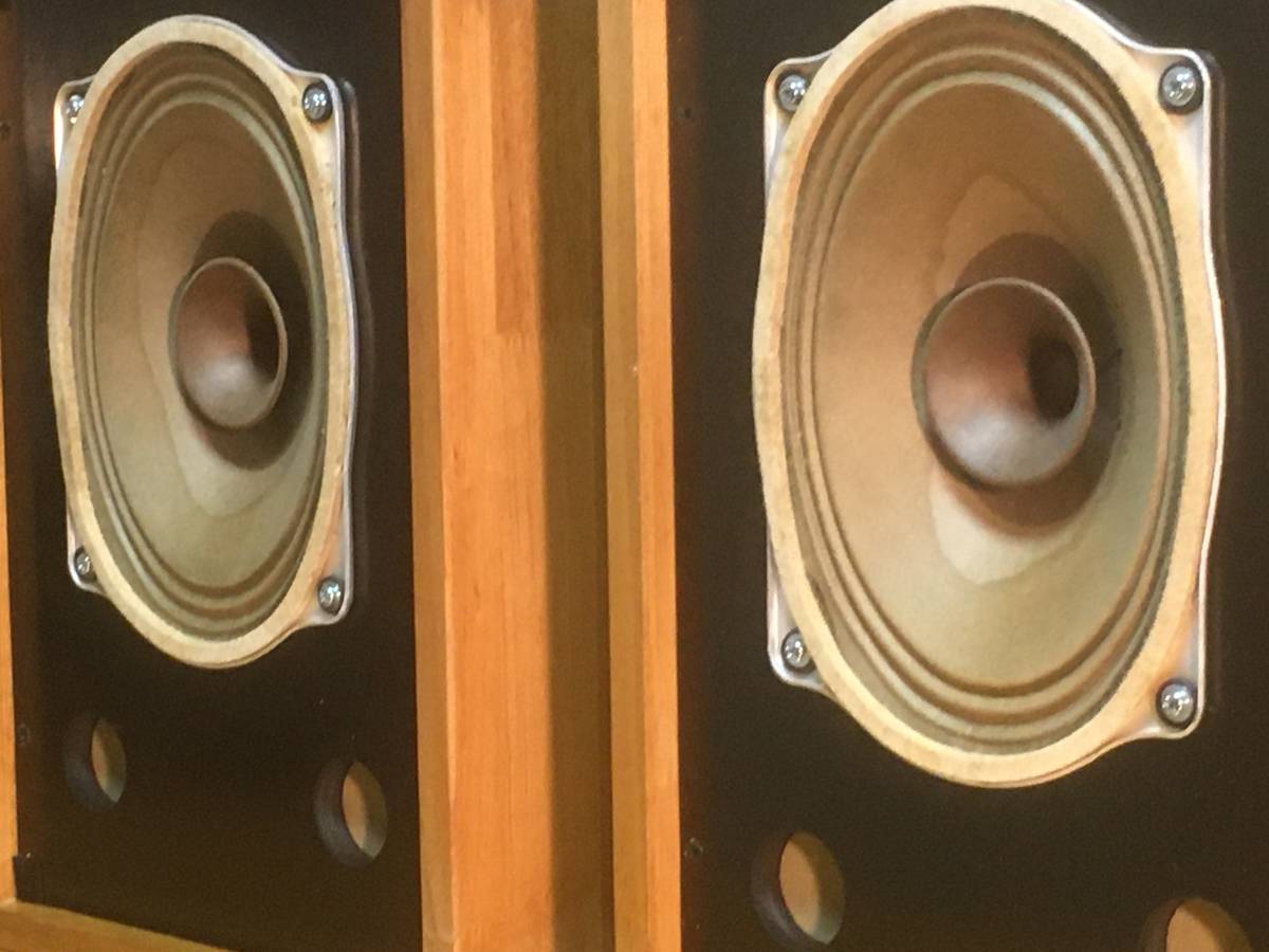 東独 RFT レア! ビンテージフルレンジL2259 PBO/Aシステム 高速高音質