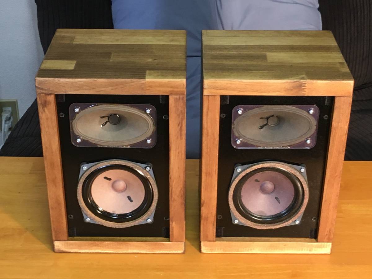 Telefunken 強力2Way システム L20ユニットシステム ペア！凄い低音