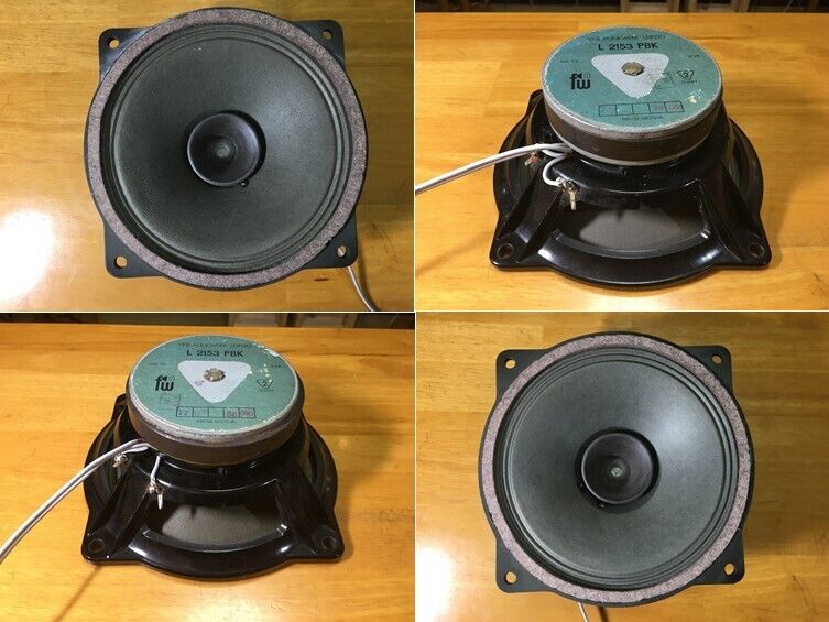 東独RFT/VEB ビンテージ 20㎝フルレンジL2153PBK システム ペア高速