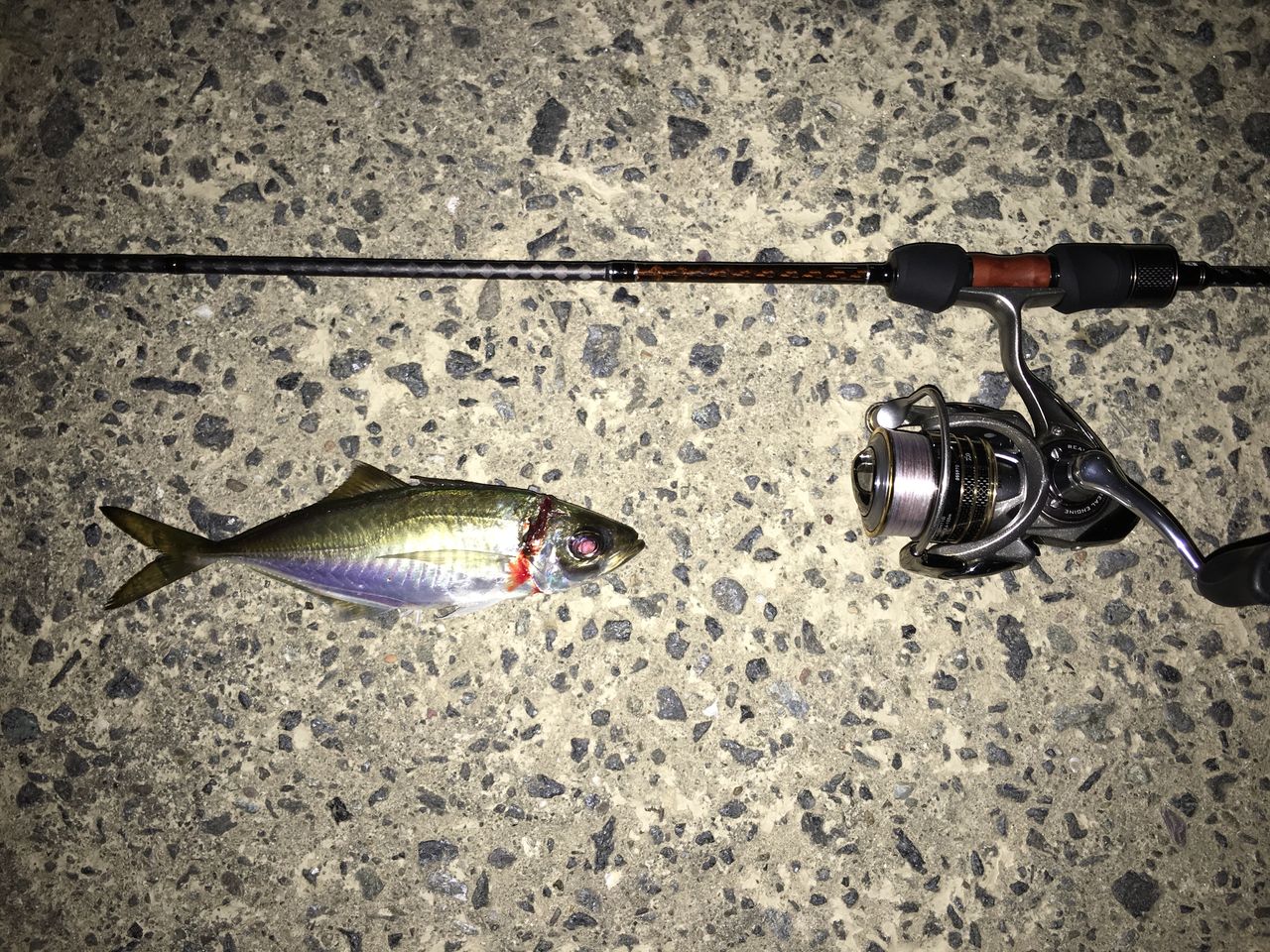 PALMS Pinwheel PFGS-56UL アジングロッド 中古 PALMS Pinwheel PFGS