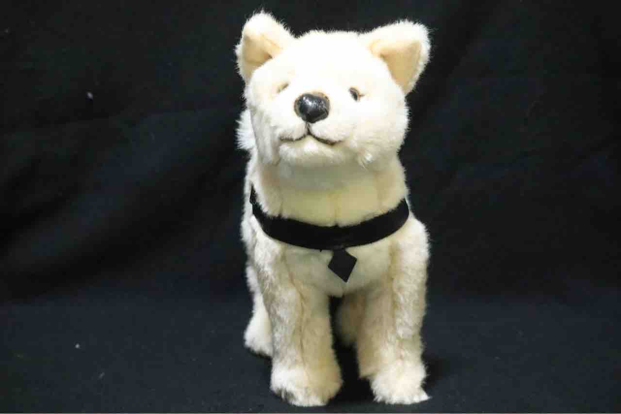 レビュー】国立科学博物館オリジナル 秋田犬ハチ : 百獣夜行見聞録