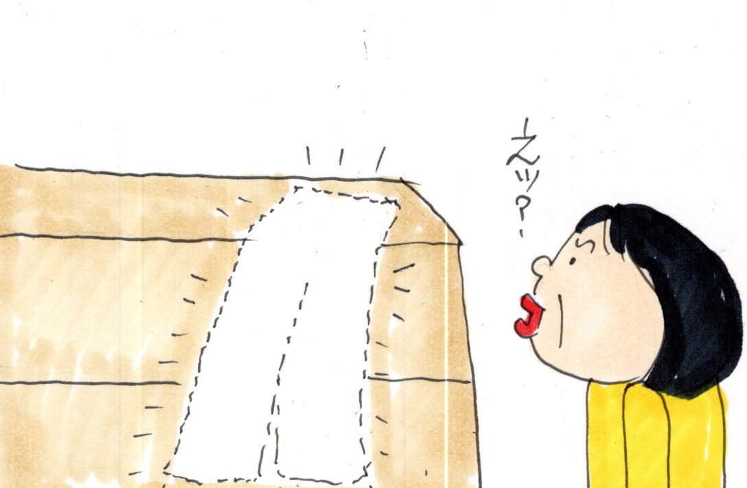 これ、捨てていいよね？ : カータンBLOG あたし・主婦の頭の中 Powered