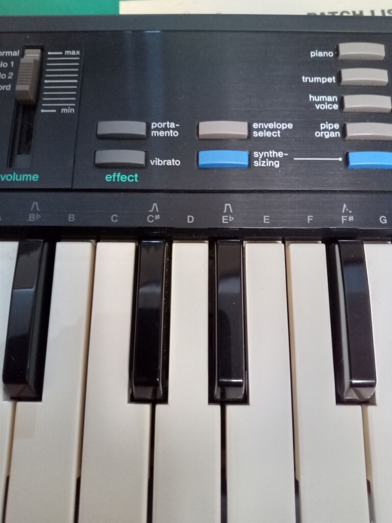 CASIO サンプルトーン SK-1 : HOTELAdriano