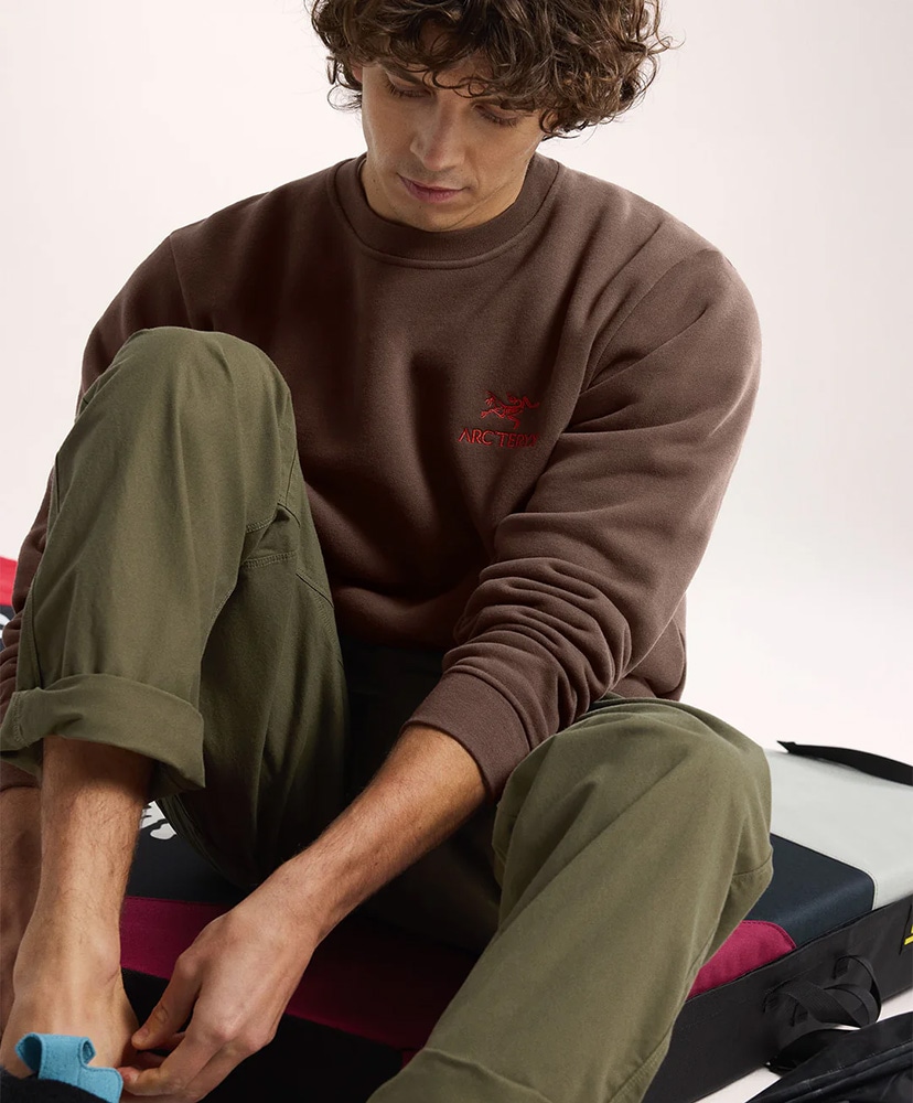 Emblem Fleece Crew Men's(L(MEN) Carob/キャロブ): ARC'TERYX