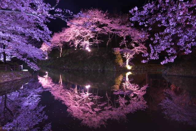 レンズ購入】APS-C機（D5500）につける広角レンズは単焦点とズーム